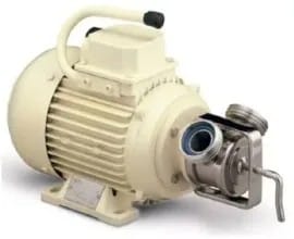 Impellerpump