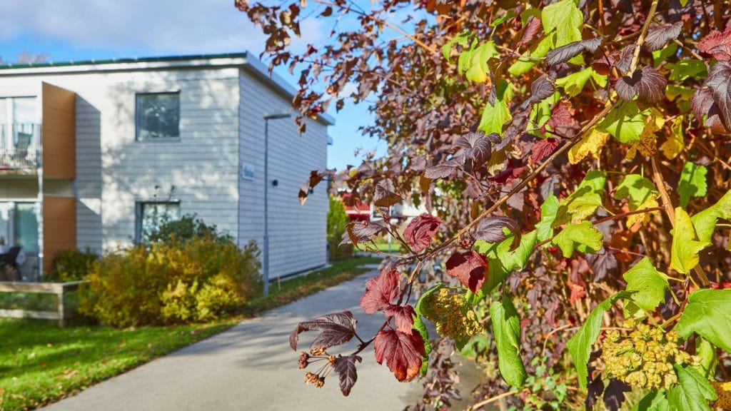 Dette billede illustrere Solör Bioenergi investerar i fjärrvärmen i Landvetter