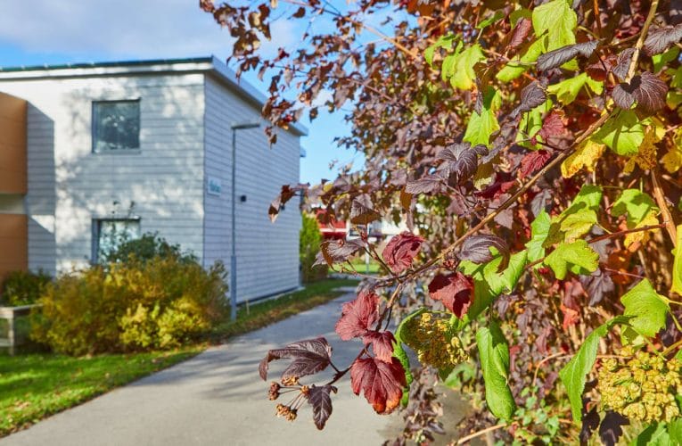 Solör Bioenergi investerar i fjärrvärmen i Landvetter