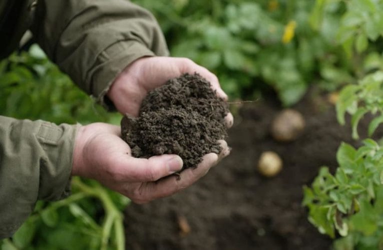 BASF Agricultural Solutions lanserar programmet Global Carbon Farming