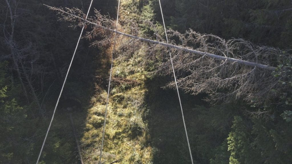 Dette billede illustrere Tredje året för drönarbesiktning – nu med ännu vassare teknik