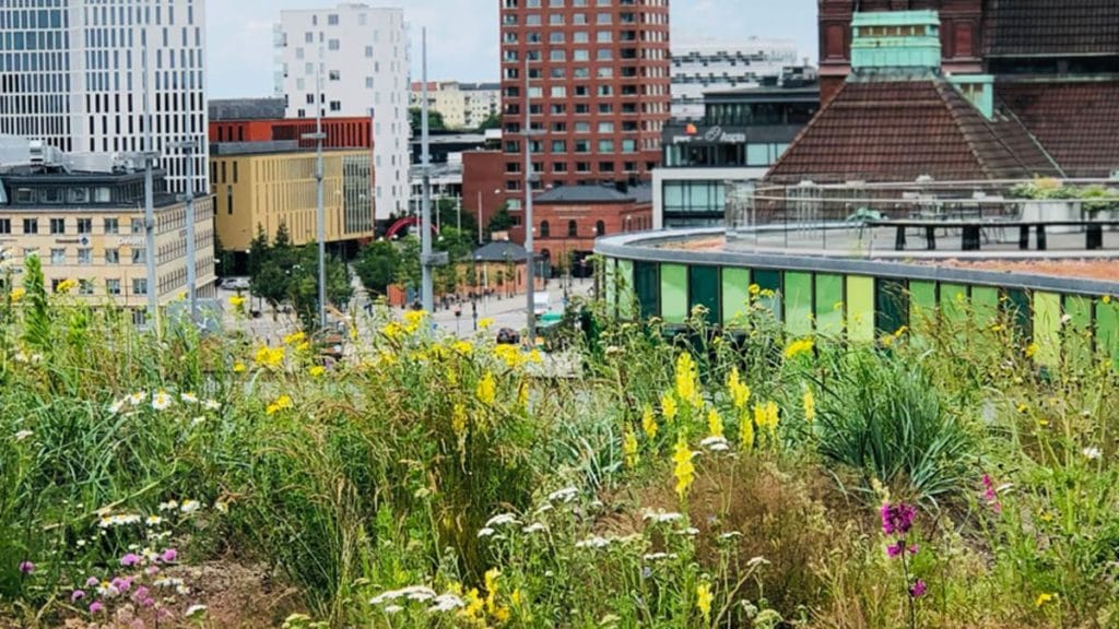 Dette billede illustrere Urban Green är nu en del av Veg Tech