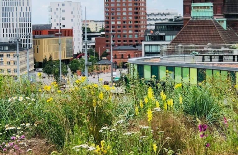 Urban Green är nu en del av Veg Tech