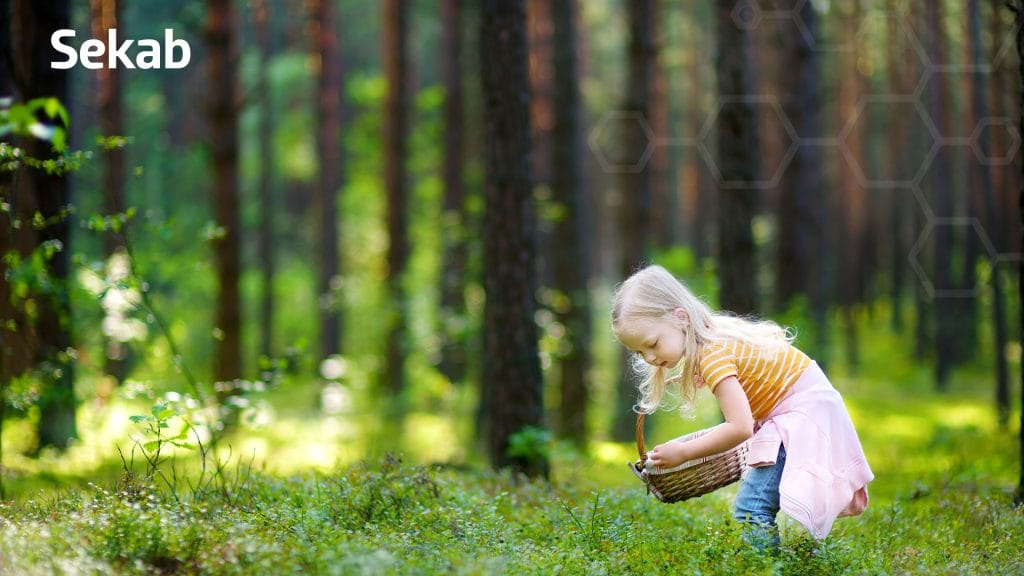 Dette billede illustrere Sekab växer mot en hållbar framtid