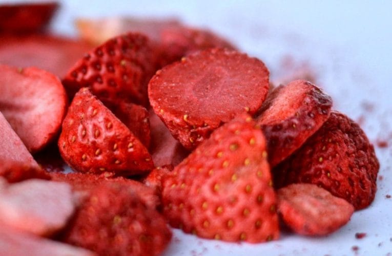 Frystorkning med hjälp av vakuumteknik från Busch