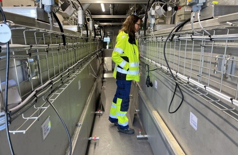 Stora förhoppningar på kostnadseffektiv kväverening i Sundsvall