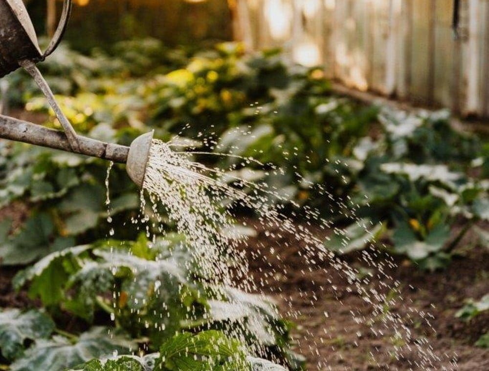 Dette billede illustrere Olika grönytemaskiner