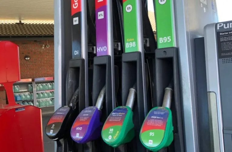 Forskare: DN och Greenpeace sprider falska uppgifter om biobränslens klimateffekt