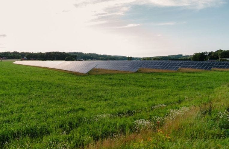 5 fantastiska fakta om hur elektricitet kan rädda planeten