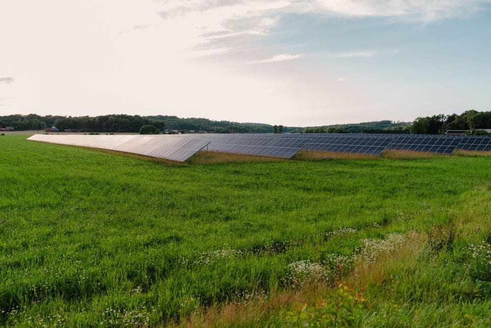 Förnybar energiproduktion, som en gång ansågs vara ett dyrt alternativ, bryter nu kostnadsbarriärer och omdefinierar sin roll i vår framtida energimix.