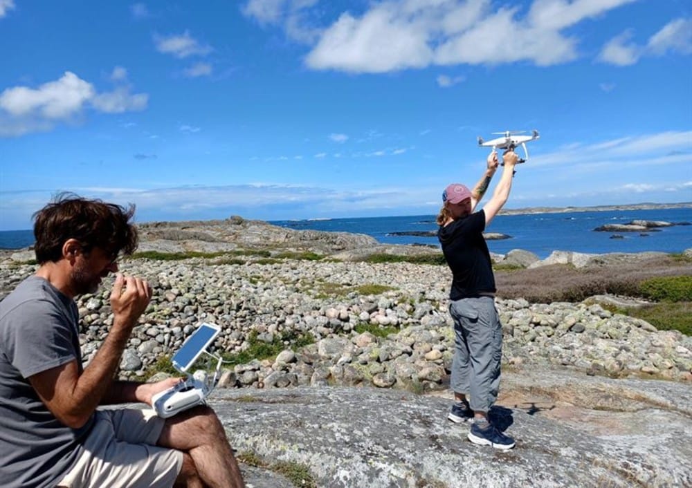 Drönare och AI nya verktyg i sälforskningen